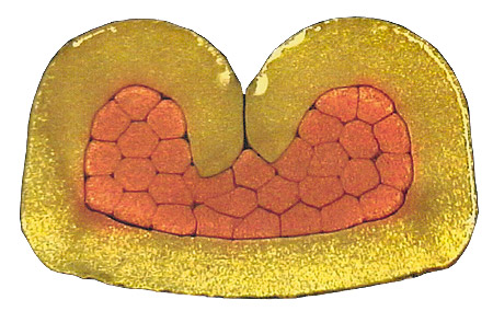 Forms Of Crimping